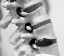 Photo 18-03-12 08 13 19